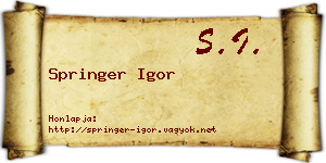 Springer Igor névjegykártya